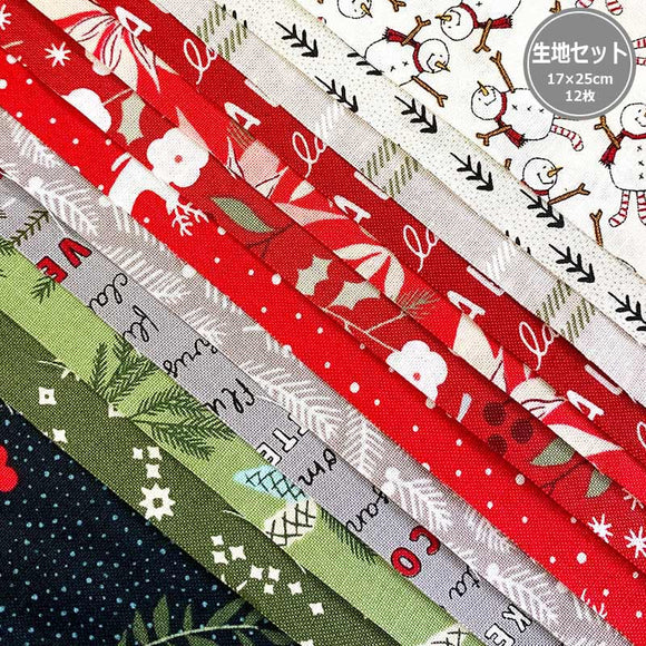 12 Christmas Fabric Set