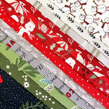 12 Christmas Fabric Set