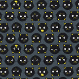 web20240808-01, USA Cotton, moda Funny Kitten, Price per 0.1m, Minimum order is 0.1m~ | Fabric