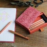 [ Cohana ] Mini Colored Pencils in Ukigami Box ( 45-081, 45-082, 45-084, 45-085 )